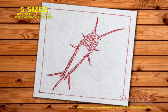 Embroidery Charm: The Gentle Appeal of Common Apterygota