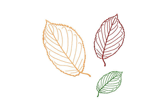 Explore Beech Tree Leaves for Unique Apparel