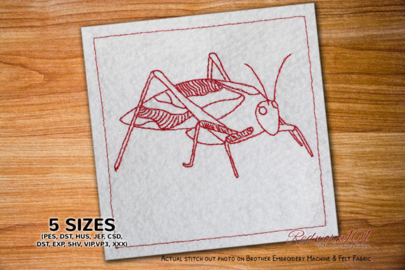 Tettigoniidae Grasshopper Redwork: A Design Review